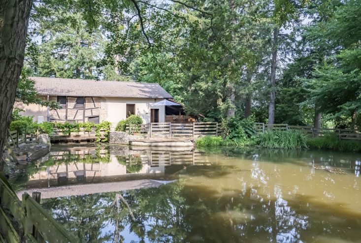 Hôtel Moulin de la Brevette Studio avec jacuzzi 2